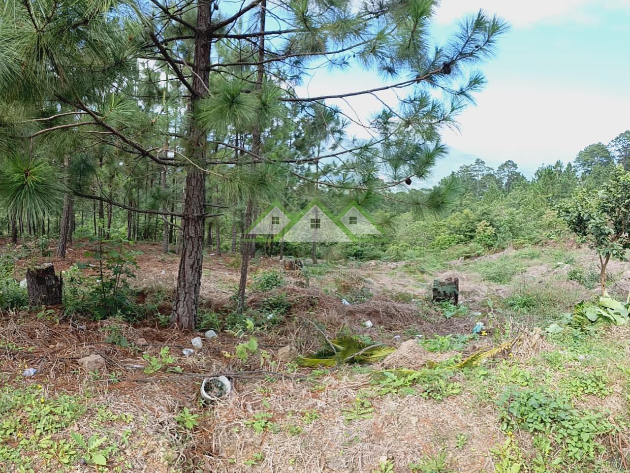 Terreno en venta