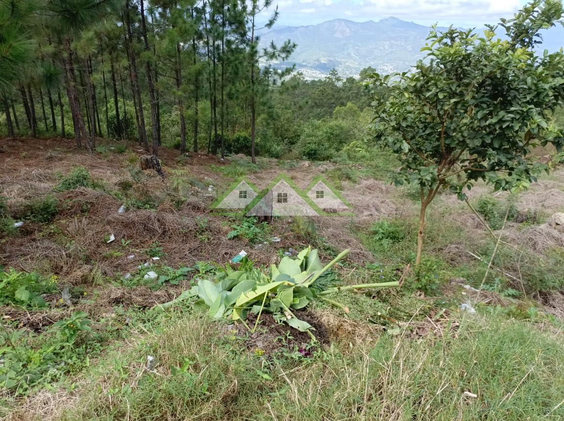 Terreno en venta