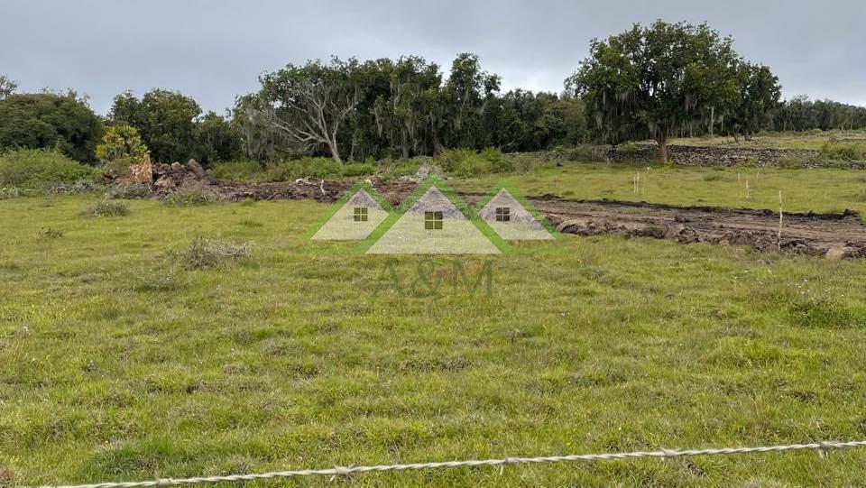 Terreno de venta 