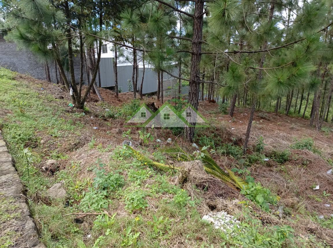 Terreno en venta