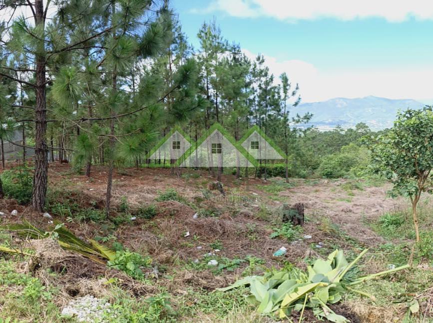 Terreno en venta